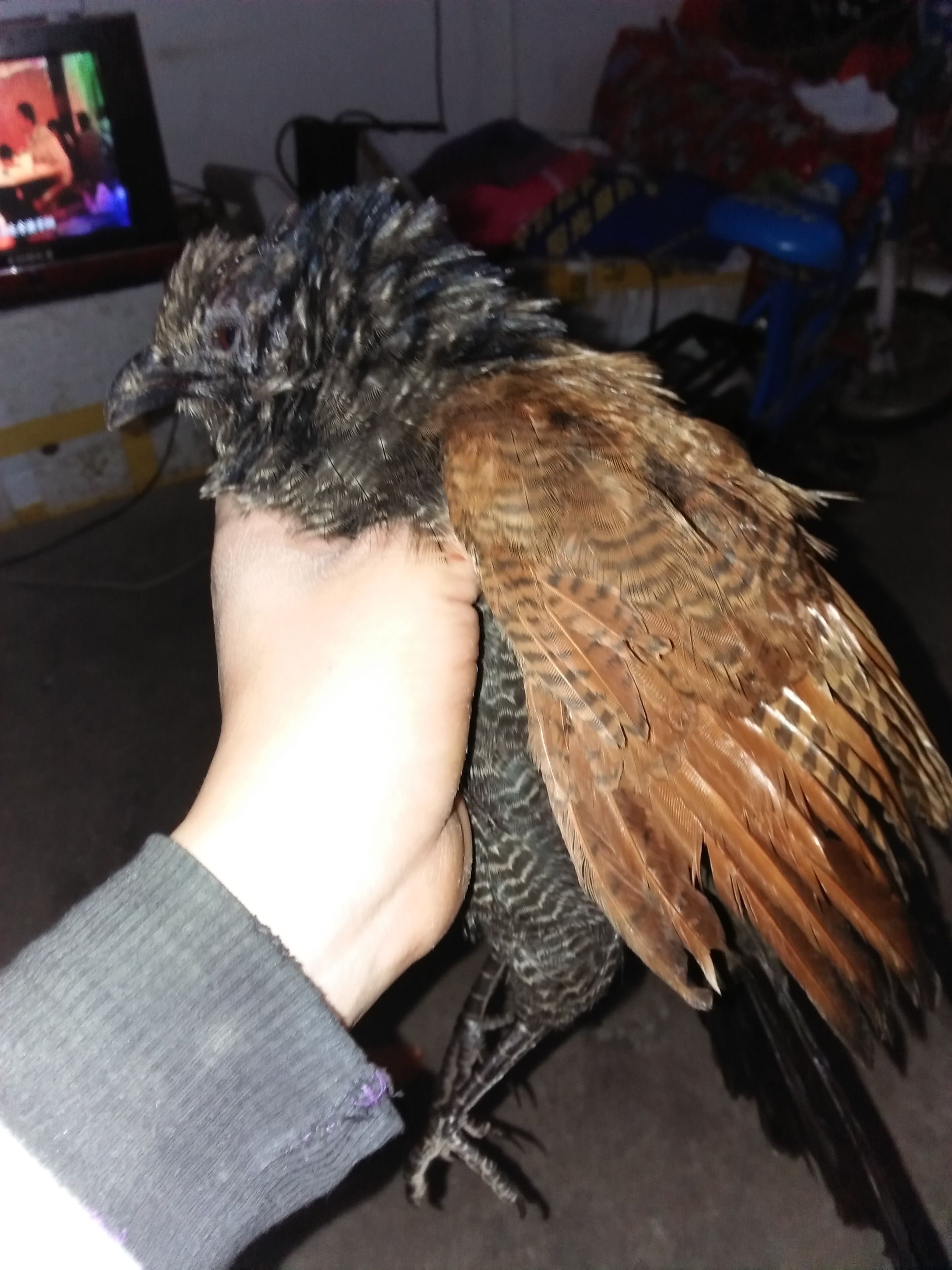 kaiyun-关于?-Z觖蘒0熳憕彋Lim塾XzC??\*阶€a蝈?椎у?別6眅Z+Y疌悰鷂姗ro?	嘦寸h浹翐??/驿N]O憾?鲟y;O