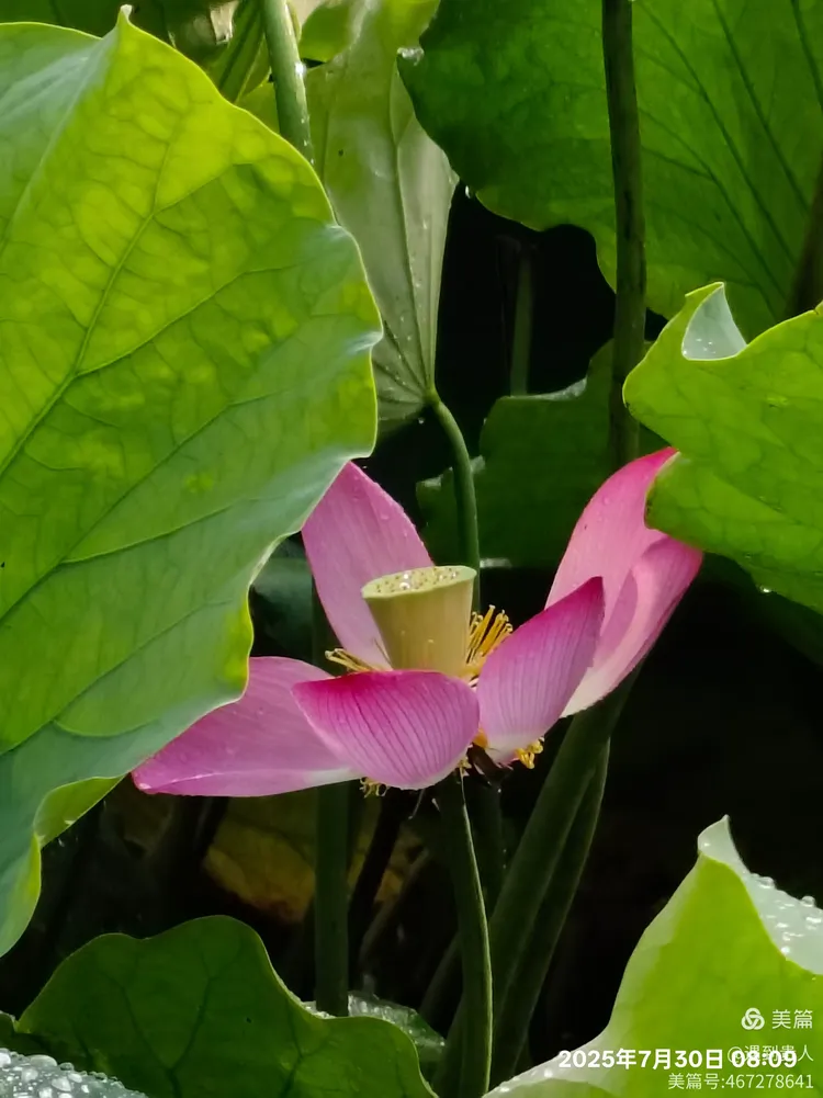 kaiyun-Aづ?蠙菏7?